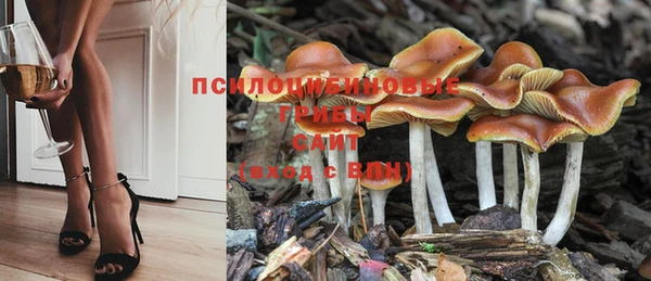 крисы Медвежьегорск