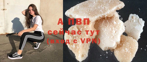 крисы Медвежьегорск