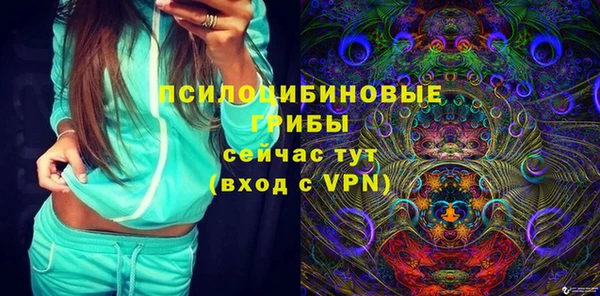 крисы Медвежьегорск